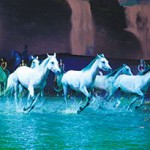 Cavalia’s Odysseo thrilled audiences at Assembly Row last year.